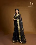 Black & Gold Chanderi Tissue Saree - Image 4